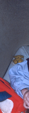 header links